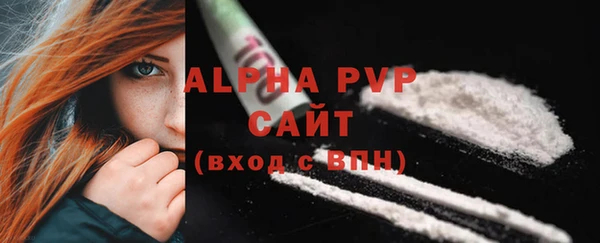 молекула духа Грязовец