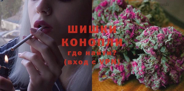 дживик Абинск