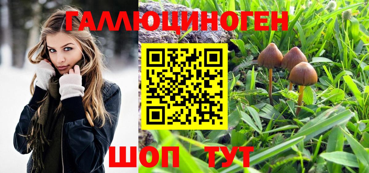 Галлюциногенные грибы прущие грибы Сертолово