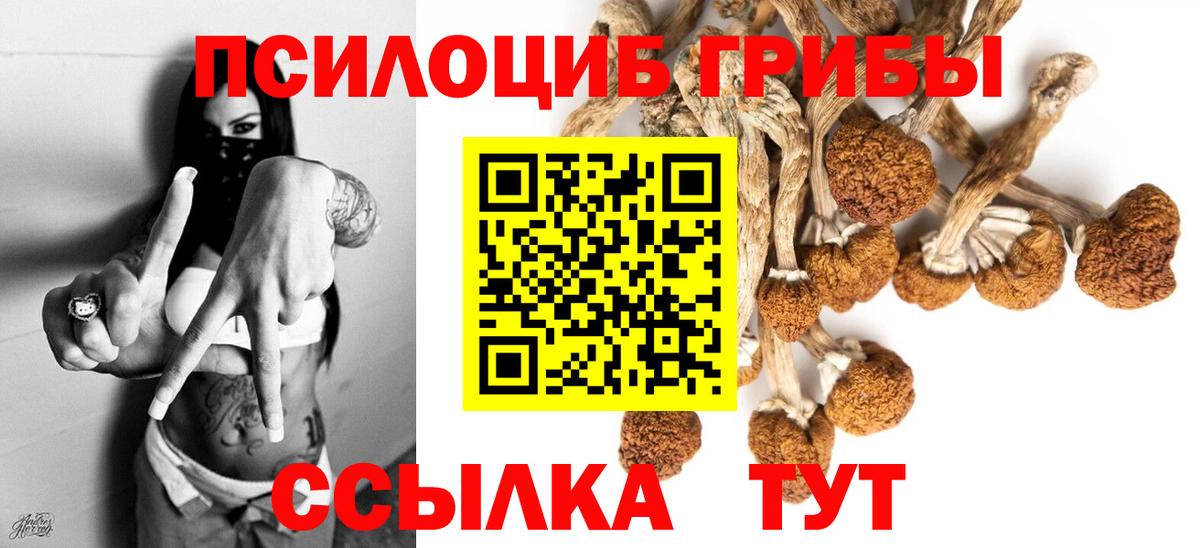 Амфетамин Сертолово