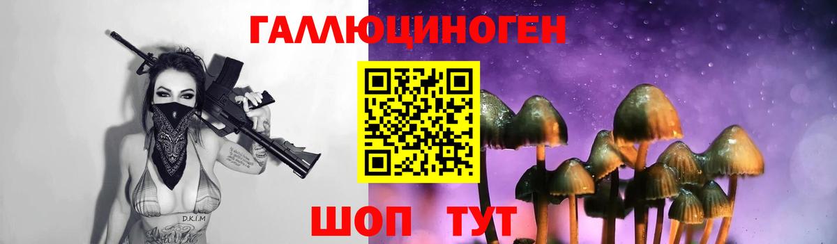 как найти наркотики  Вход с VPN  Сертолово  Псилоцибиновые грибы Magic Shrooms 